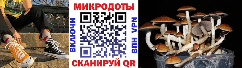 Галлюциногенные грибы ЛСД  наркота  Кстово 